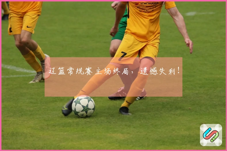 辽篮常规赛主场终局，遗憾失利！