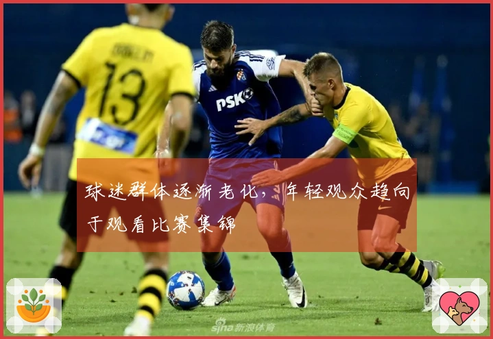 球迷群体逐渐老化，年轻观众趋向于观看比赛集锦