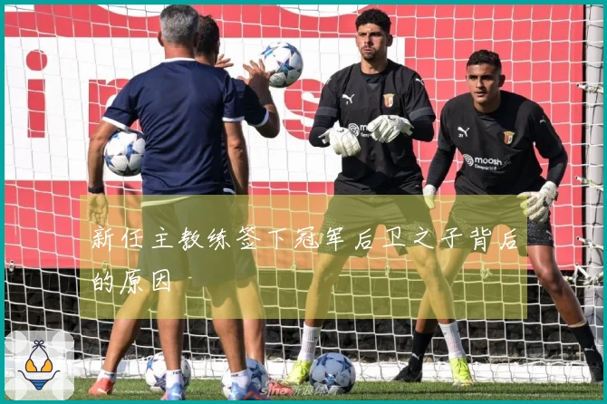 新任主教练签下冠军后卫之子背后的原因